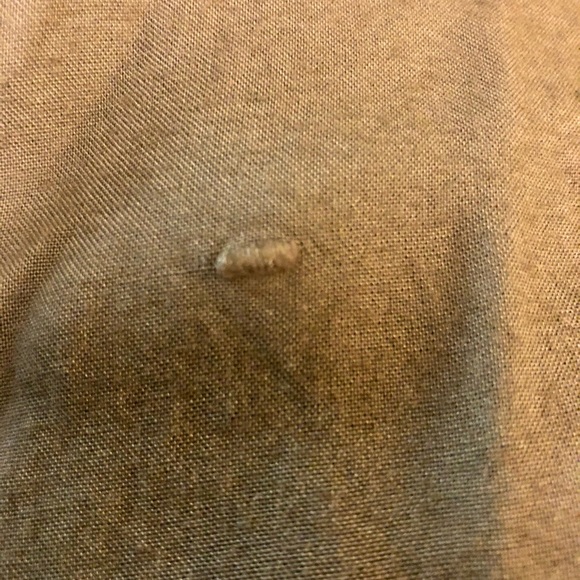 Speed Control Dress Shirt Mini Plus Size 1X - Picture 13 of 14